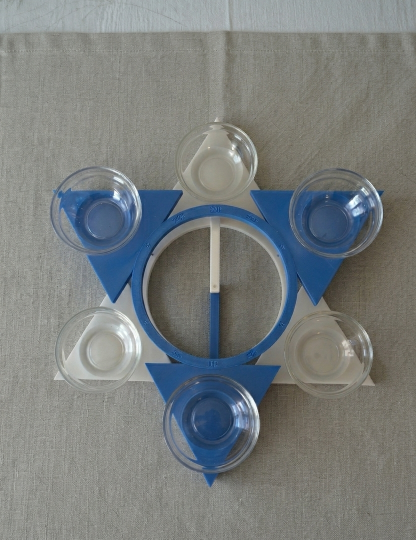 The Covenant Seder Plate